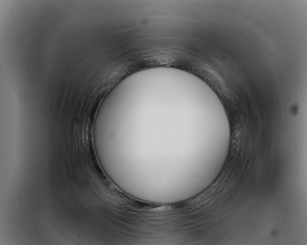 X0000098070122200804040737