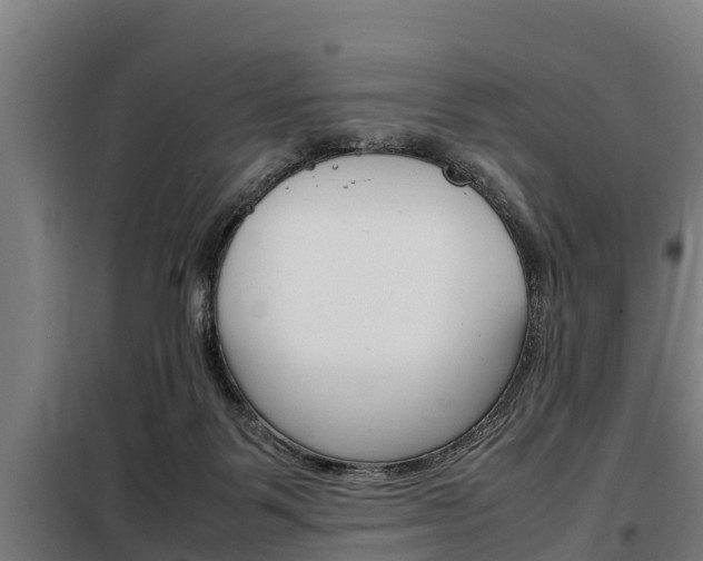X0000098070123200804040737