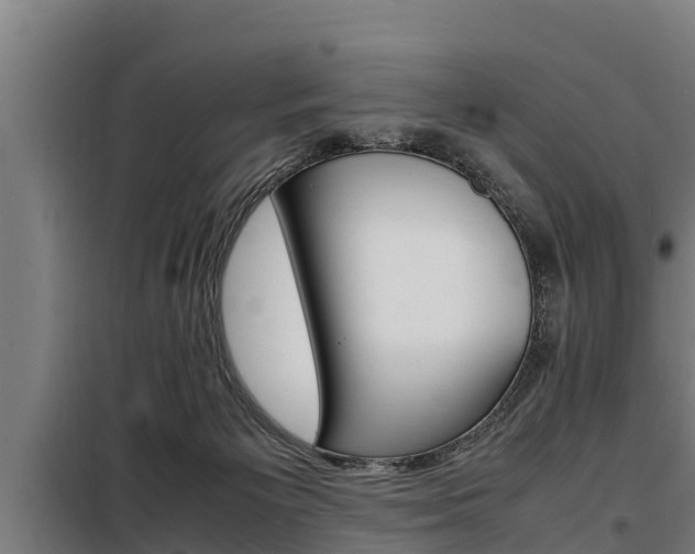 X0000098070125200804040737