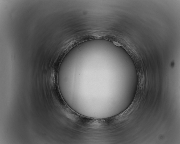 X0000098070128200804040737