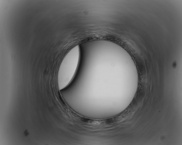 X0000098070129200804040737