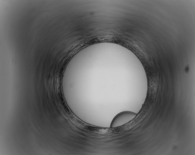 X0000098070130200804040737