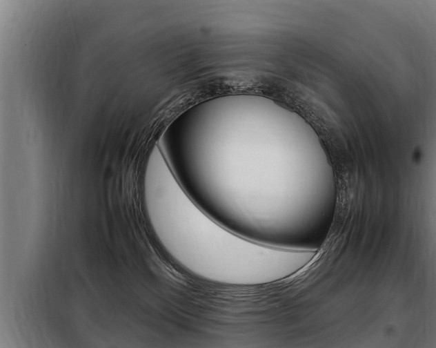X0000098070136200804040737