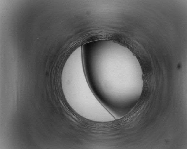 X0000098070137200804040737