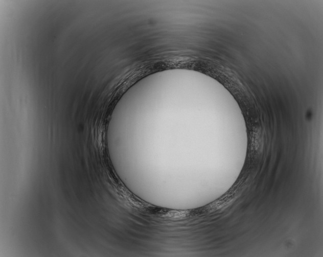 X0000098070138200804040737
