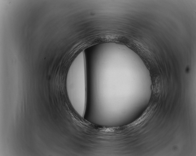 X0000098070140200804040737