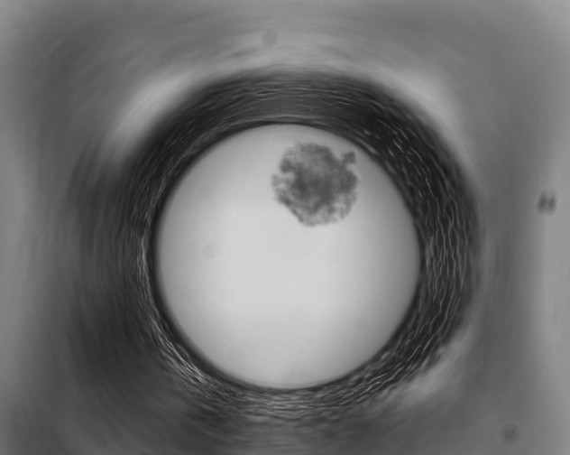 X0000098070146200804040736
