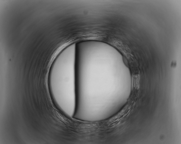 X0000098070147200804040736