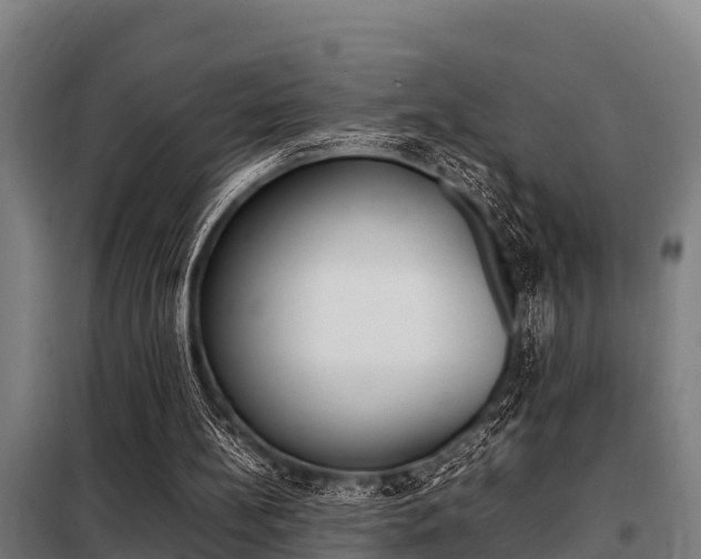 X0000098070148200804040736