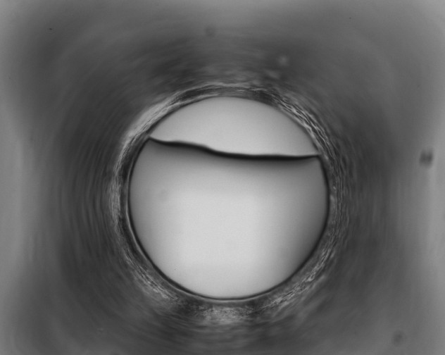 X0000098070149200804040736