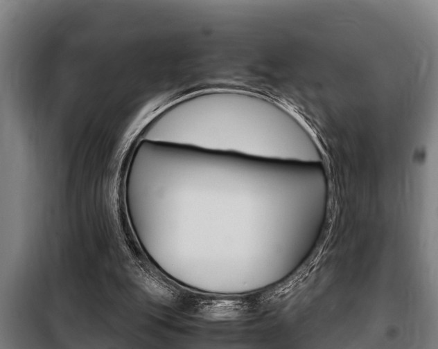 X0000098070151200804040736