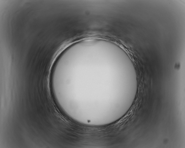 X0000098070152200804040736