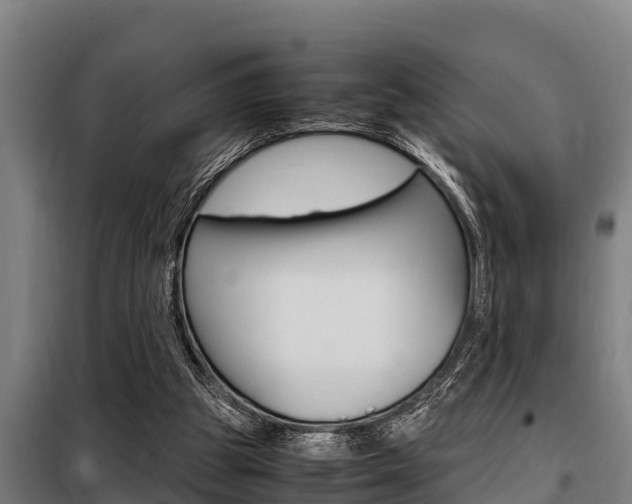 X0000098070153200804040736