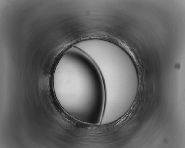 X0000098070154200804040736