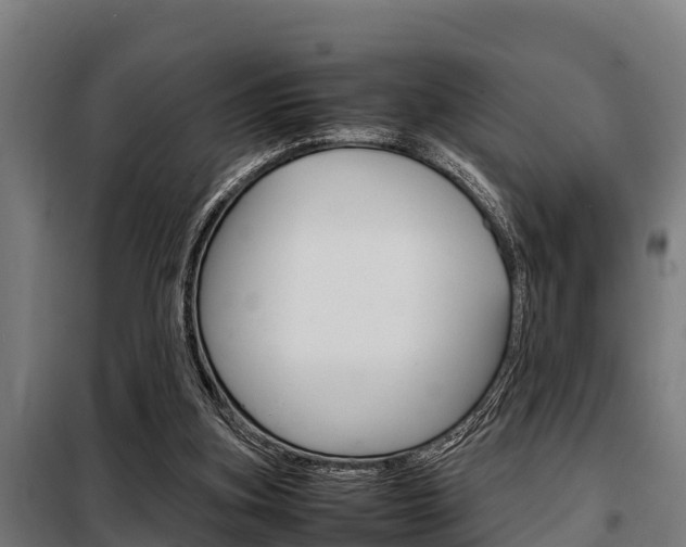 X0000098070155200804040736