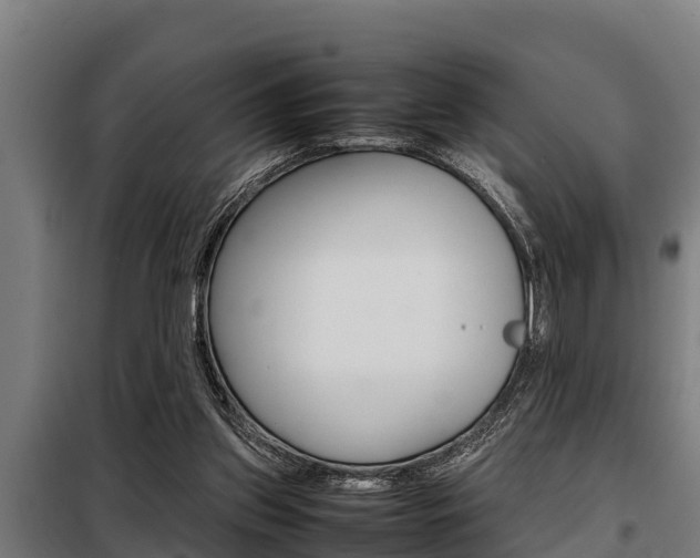 X0000098070157200804040736