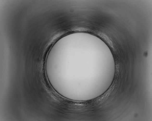 X0000098070159200804040736