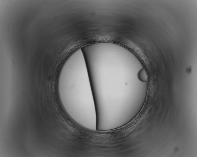 X0000098070161200804040736