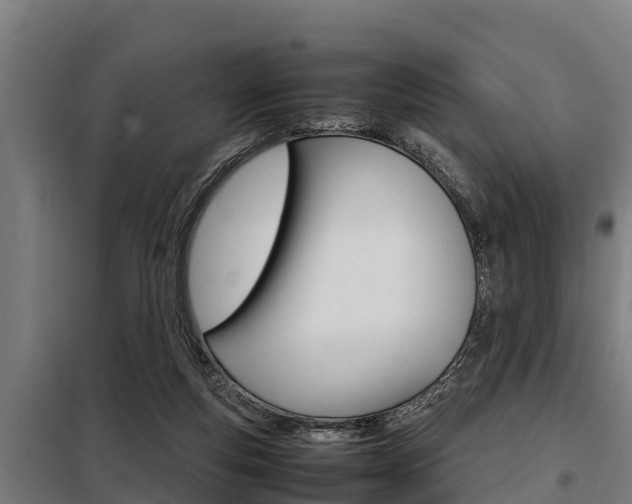 X0000098070163200804040736