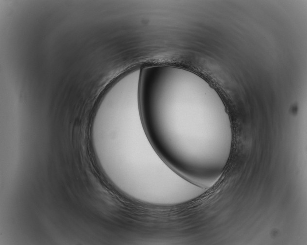 X0000098070164200804040736