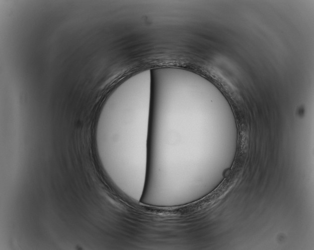 X0000098070165200804040736