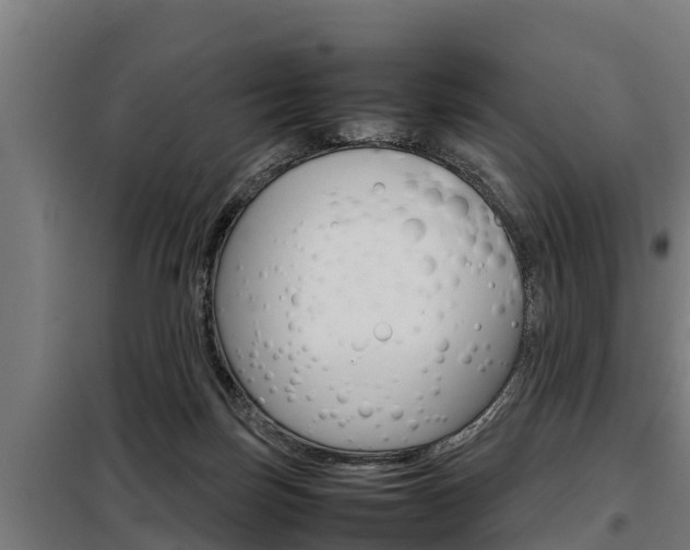 X0000098070171200804040736