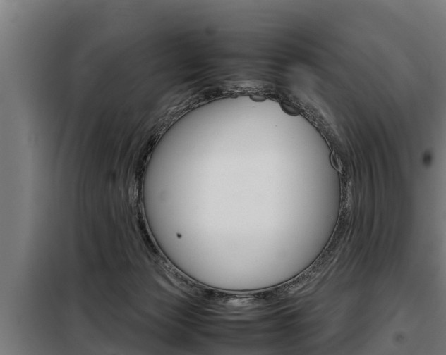 X0000098070173200804040736