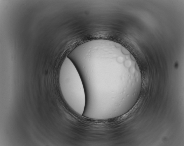 X0000098070175200804040736