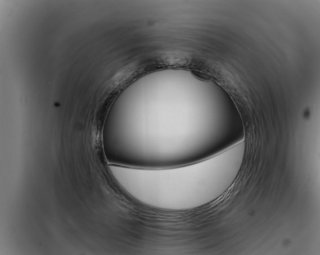 X0000098070176200804040736