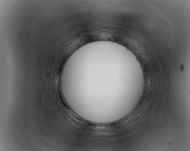 X0000098070177200804040736