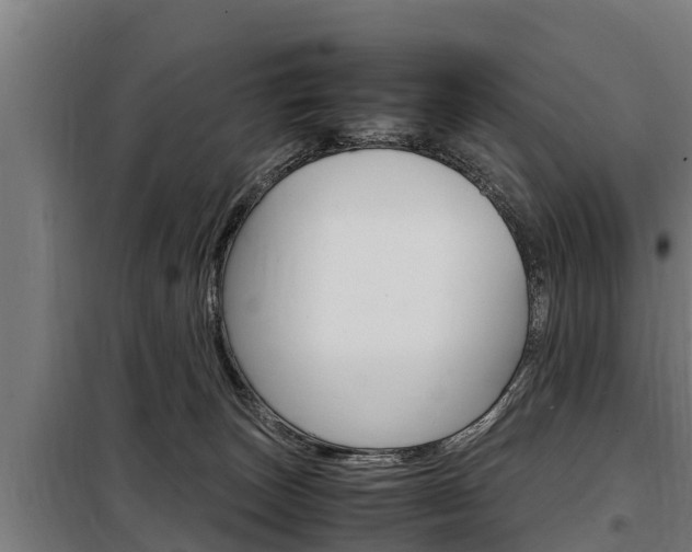 X0000098070179200804040736