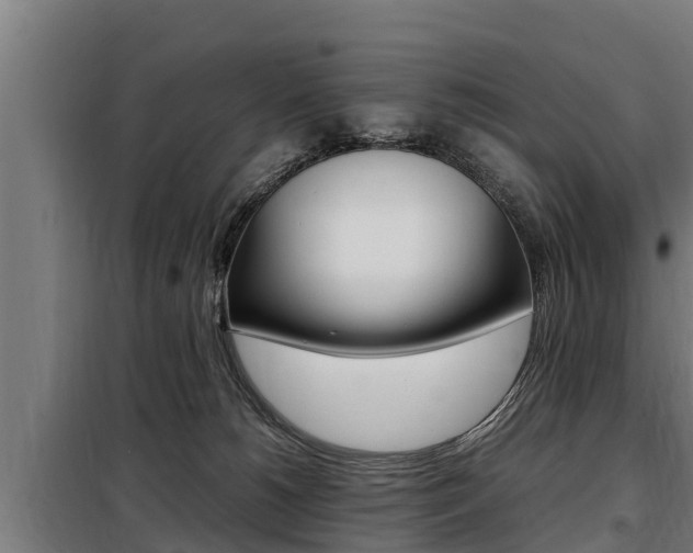 X0000098070180200804040736
