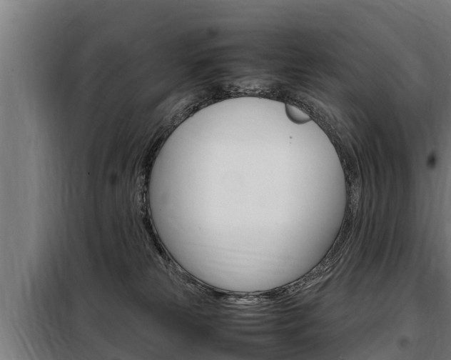 X0000098070181200804040736