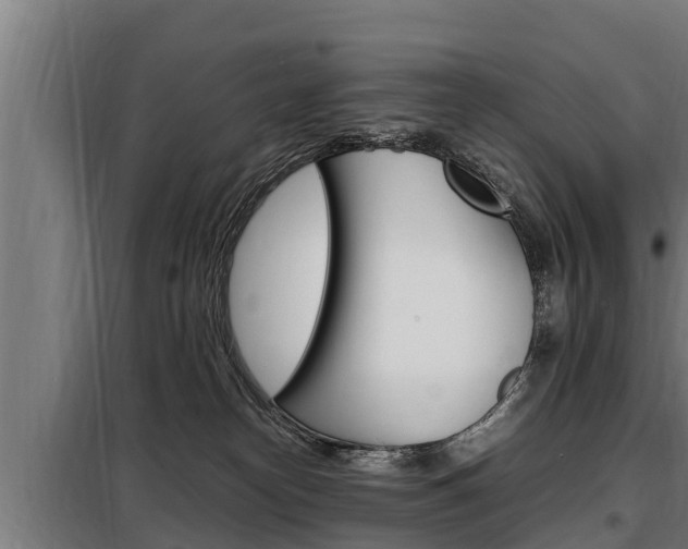 X0000098070182200804040736