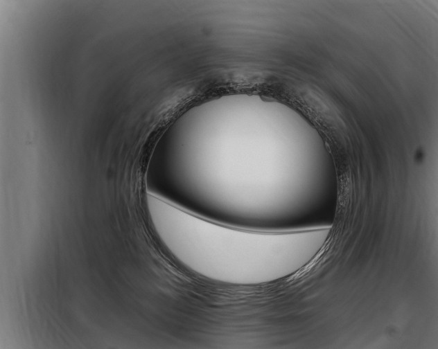X0000098070184200804040736