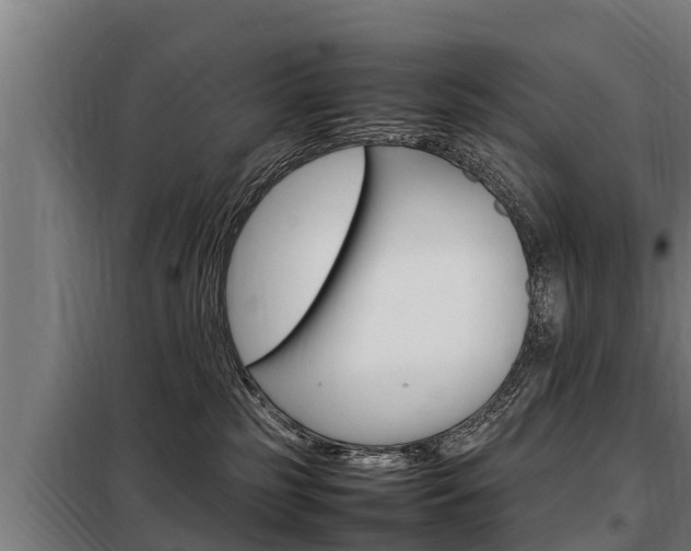 X0000098070185200804040736