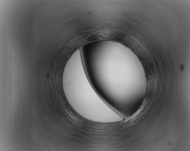 X0000098070186200804040736