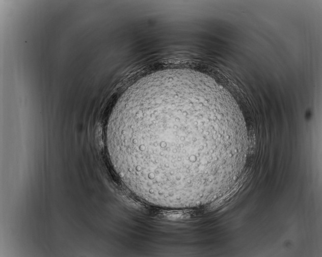 X0000098070187200804040736