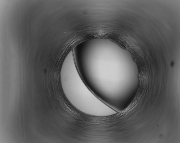 X0000098070188200804040736