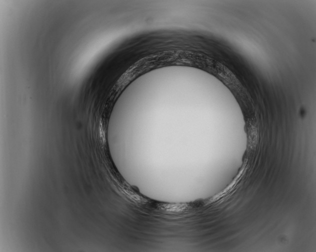 X0000098070191200804040736