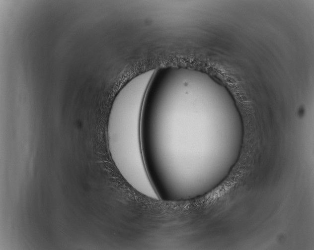X0000098070192200804040736