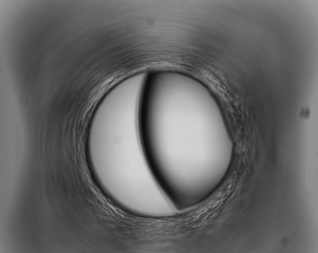 X0000098070193200804040736