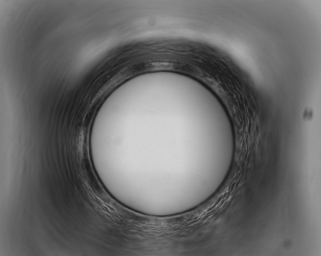 X0000098070194200804040736
