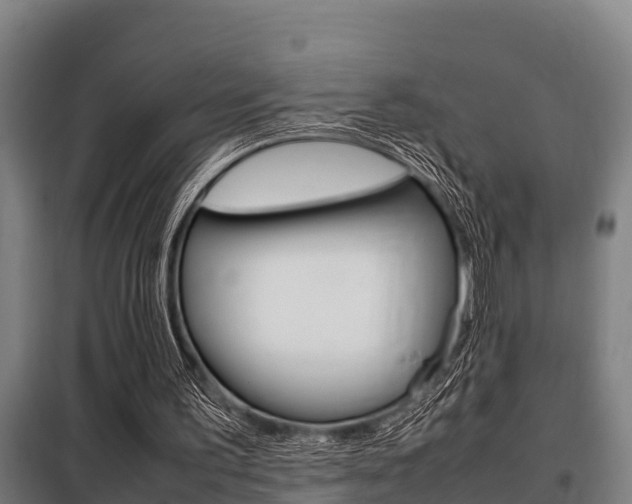 X0000098070195200804040736