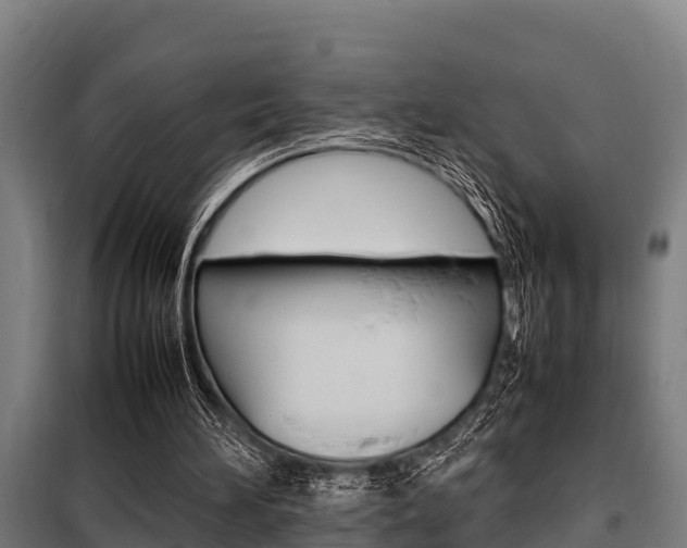 X0000098070196200804040736