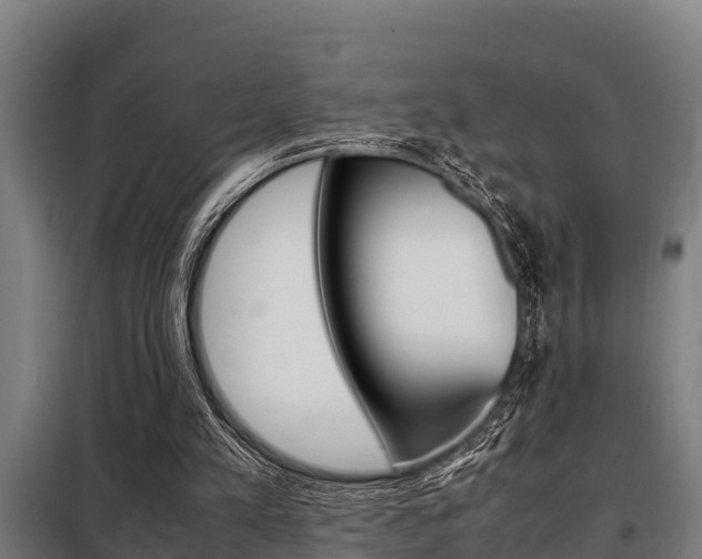 X0000098070197200804040736