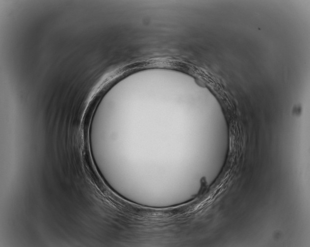 X0000098070198200804040736