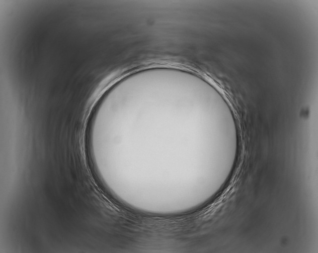 X0000098070199200804040736