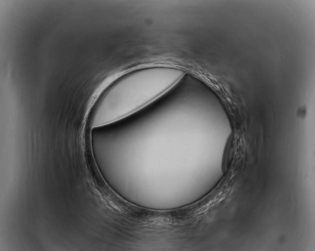 X0000098070200200804040736