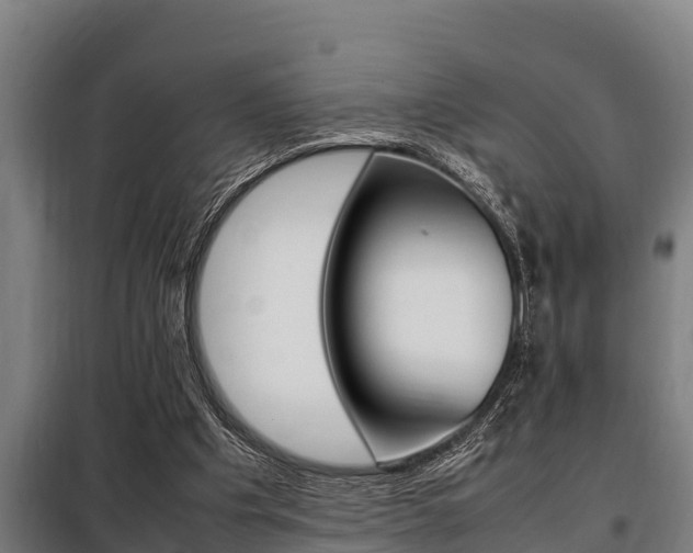 X0000098070201200804040735